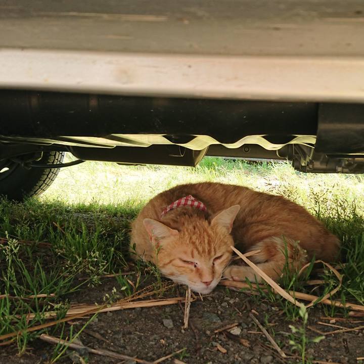 D0231e9a 4daf 43dc baf8 a9b5f0d08b0f 1559372990670