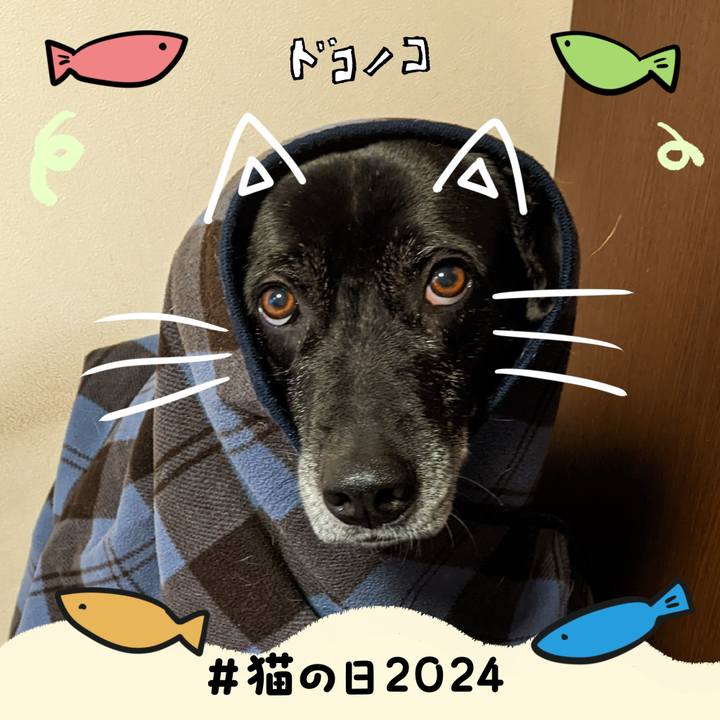 D02337d9 0685 473a a867 e45ef201f627 1708559346954