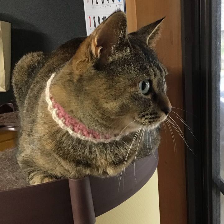 D023391f 010f 49e0 990a fa007f7f9450 1713781156083