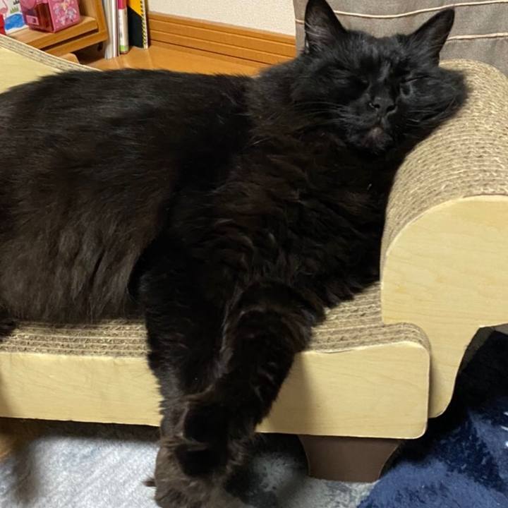 D0235a25 4a4f 4f9a bf76 e2dee9d528a0 1590500855687