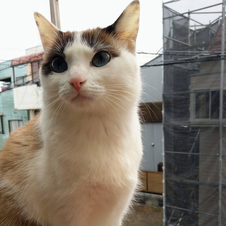 D02399be 7b69 4c19 8562 028f6b3be6f9 1518268648805