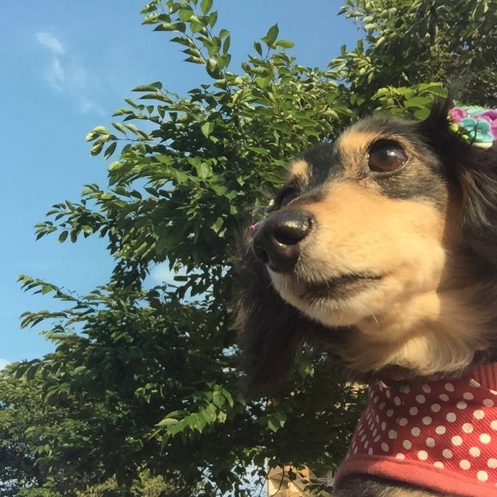 D023b128 ff62 4fc6 8a8f 6a2783a2d679 1529311707089