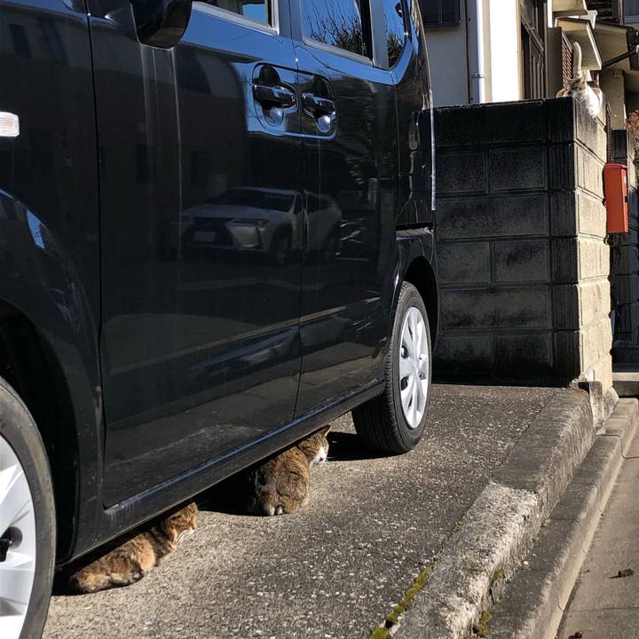 D023fd35 117a 4921 80cc 2bc26a28cefb 1644046170752