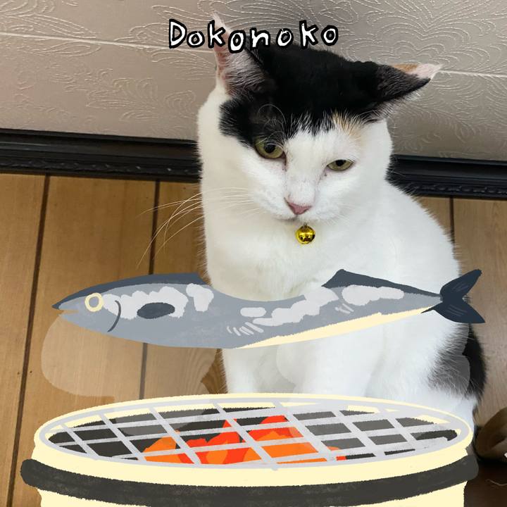 D02410b3 ef2f 4a61 9758 dc3f48b688f1 1761227170694