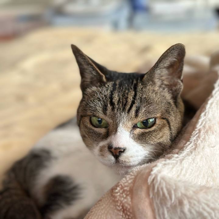 D024139b 23bd 4d56 b556 72a2cc17f147 1681092158456