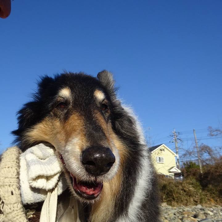 D0241fb6 1c26 484e ba0b 0e332cb7d3f2 1579703077165