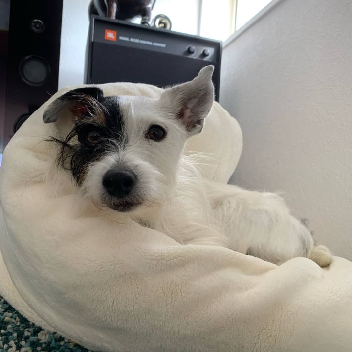 D0243642 ce78 411b b6e8 6022c54fe4bf 1698541328973