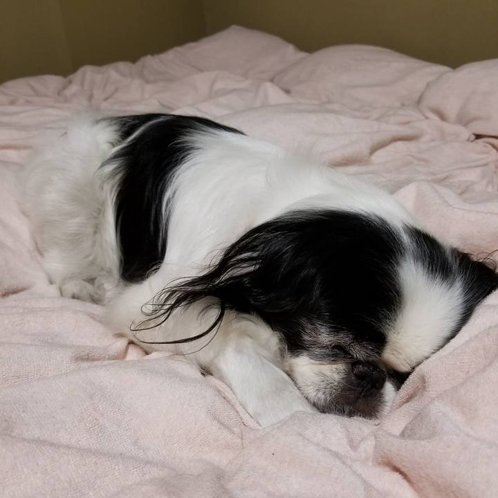 D0246fc7 6624 443a af80 3e1e2a47ee29 1511534002070