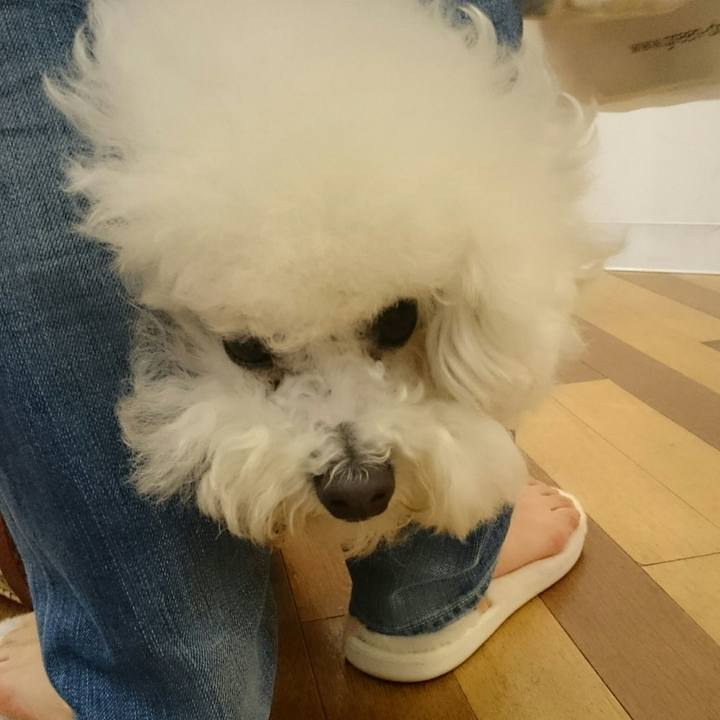 D0247864 c675 42cb 9a51 119cb51af6c5 1524984589231