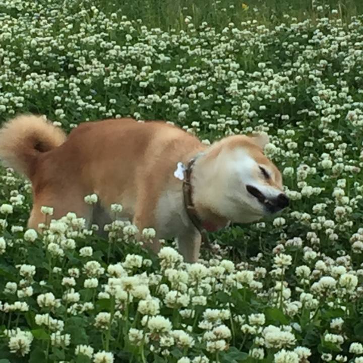 D0247f13 560f 41be 8914 567f2f4c97fb 1525943381501