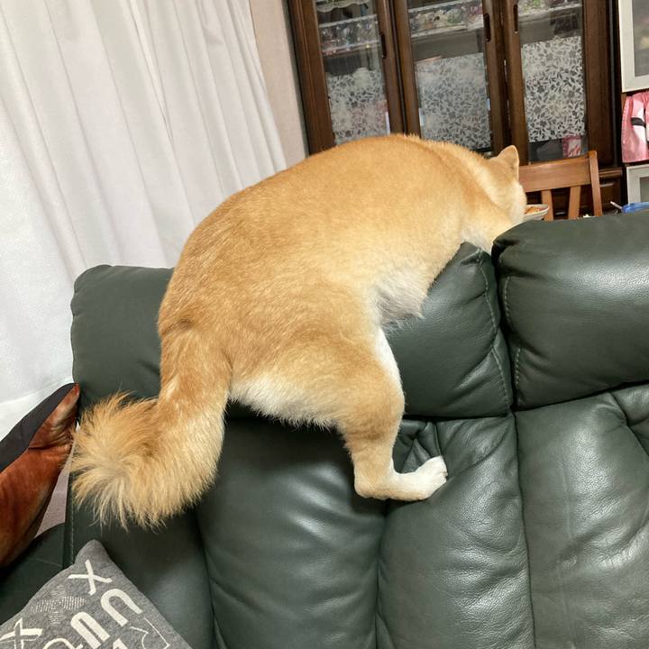 D0248c1a 818c 4e08 a983 d229b5e9d579 1615554642259