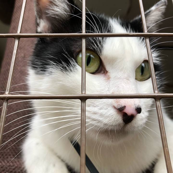 D0249330 e4f4 4eb0 b4e7 906a3a992b54 1569649711289