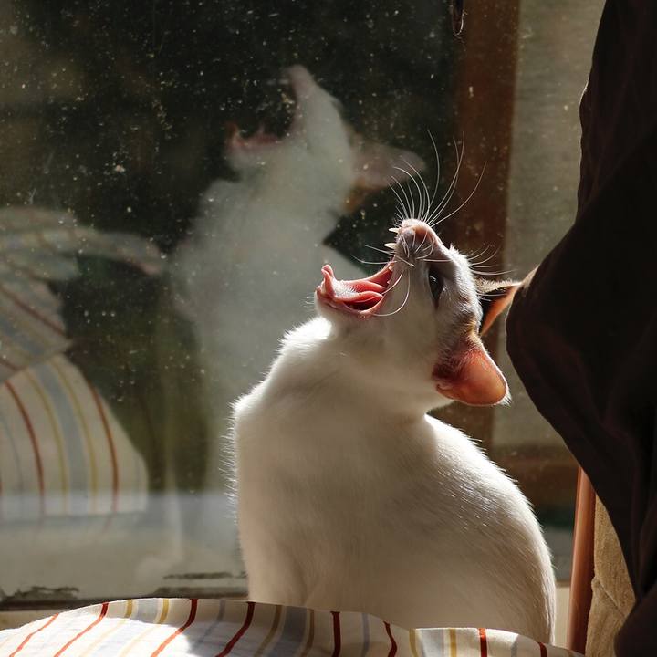 D024b04e ec50 45d3 ab82 93245d889c21 1596584125108