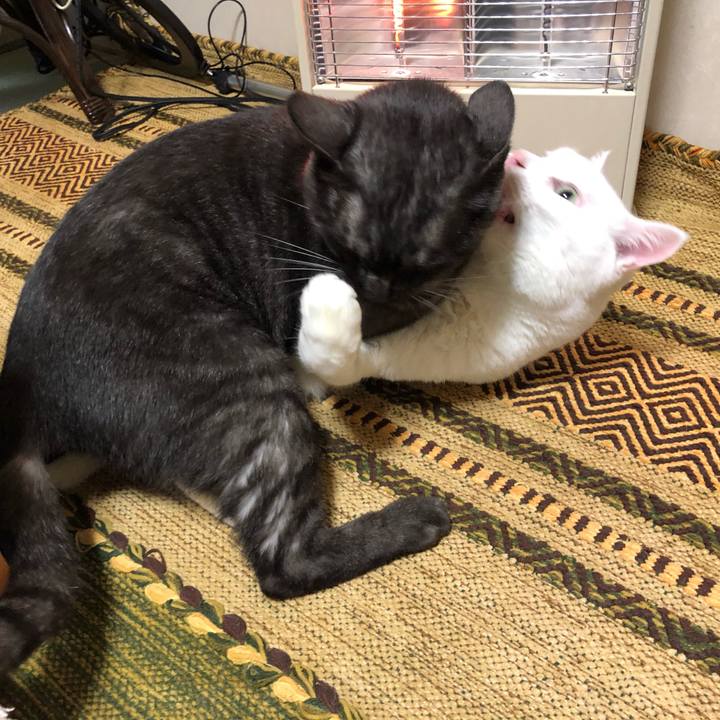 D024f142 d9f6 4037 8225 5106eb65a21a 1602992128853