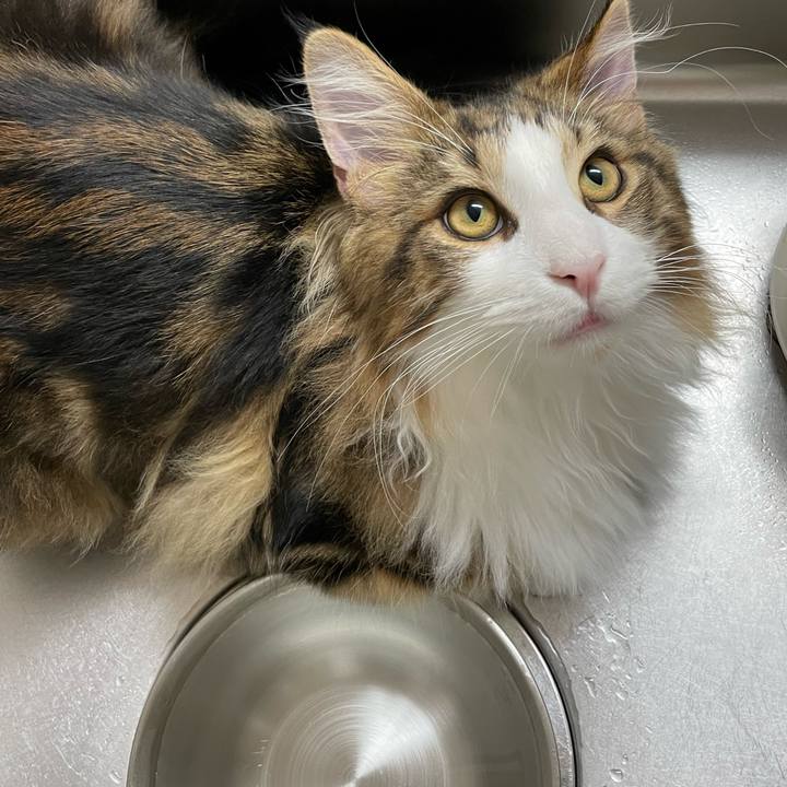 D0250181 40fa 441e 8c23 34ed14fac4bd 1640181008682