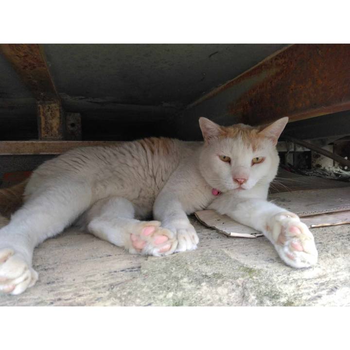 D0250a6f 7c3f 476d b959 c60d49a37265 1689993079498