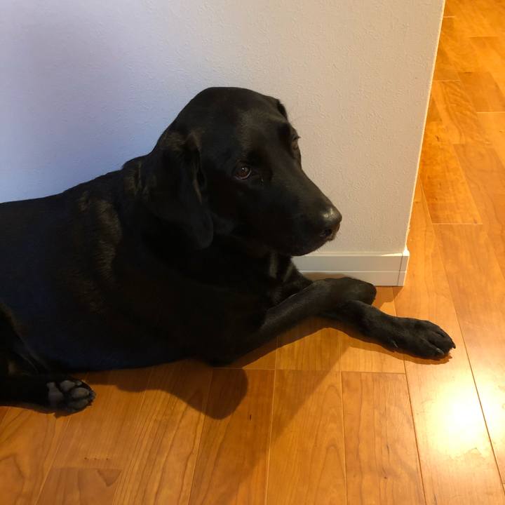 D0250bf6 40a3 4db6 8aea 51d8af92a8dc 1608533939328