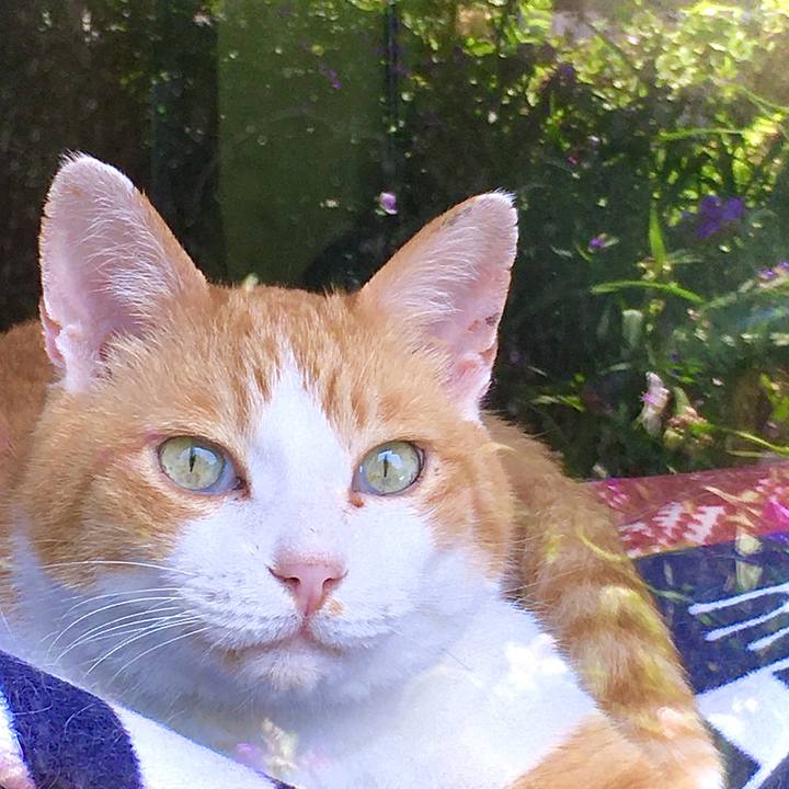 D0251f1c 306d 4df3 9fad a888b2127853 1591515686298