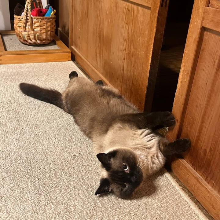 D02540f3 c560 4bf0 8134 157d1df624ba 1657626210621