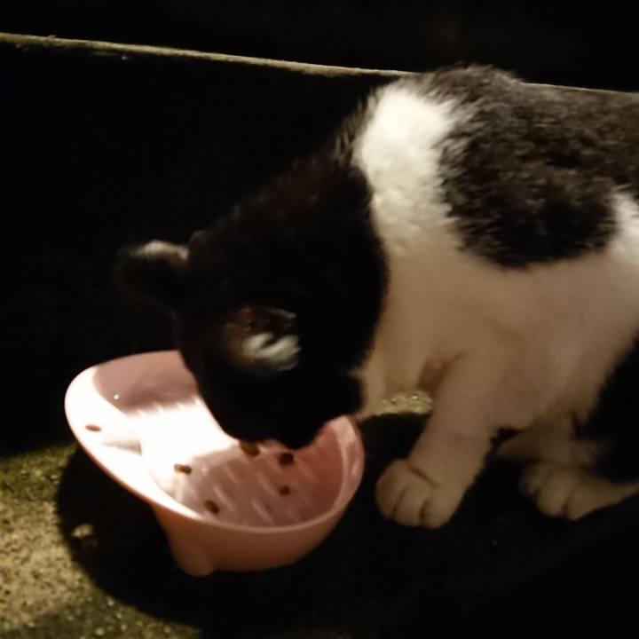 D025870f 6387 40d7 a46d cbdd083b3bcd 1695300045025