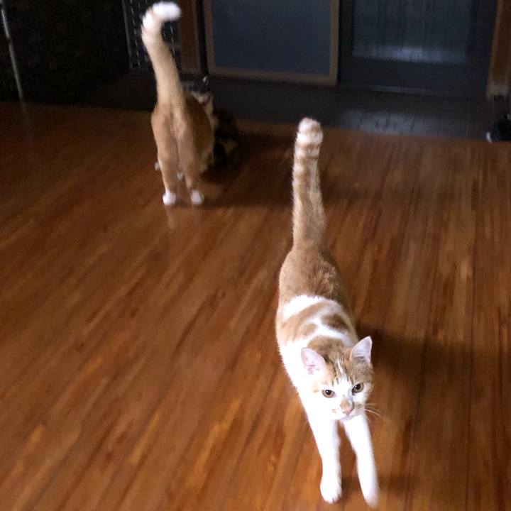 D025ba0e 7be1 4d6b 807e e26afa562cb5 1629461437002