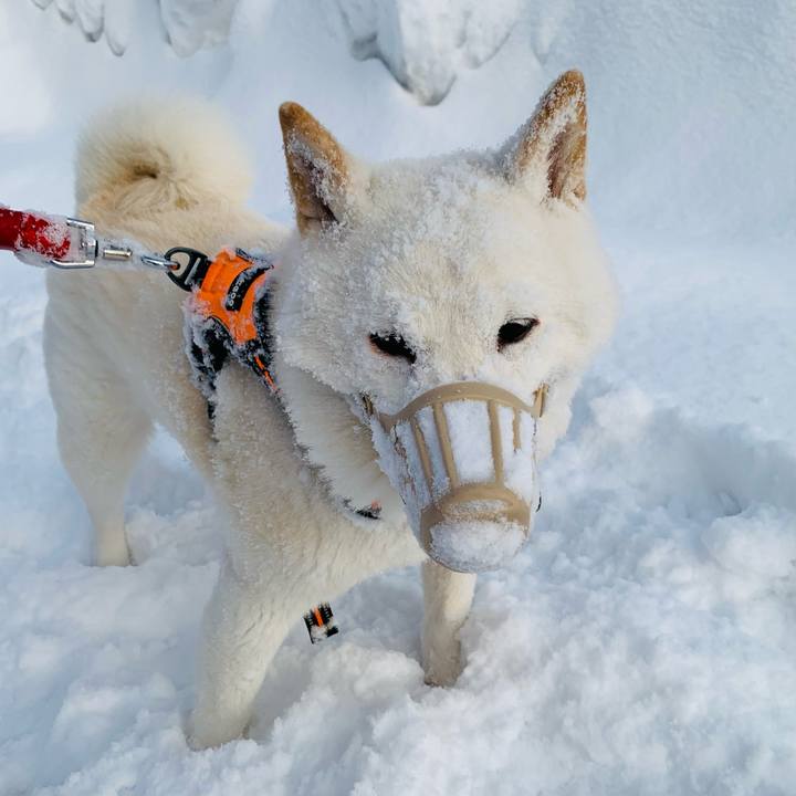 D025bf11 64d3 413d a8bc 92e1aeb1d0b7 1676244750371