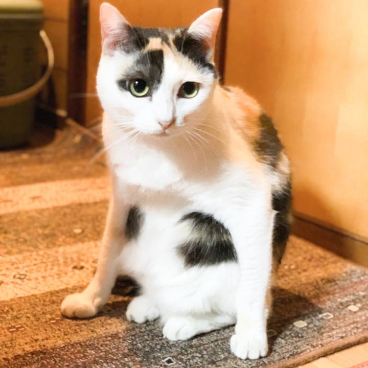 D025e8ac bc37 4e2f a8e9 c8edb9a4edb2 1567303142501