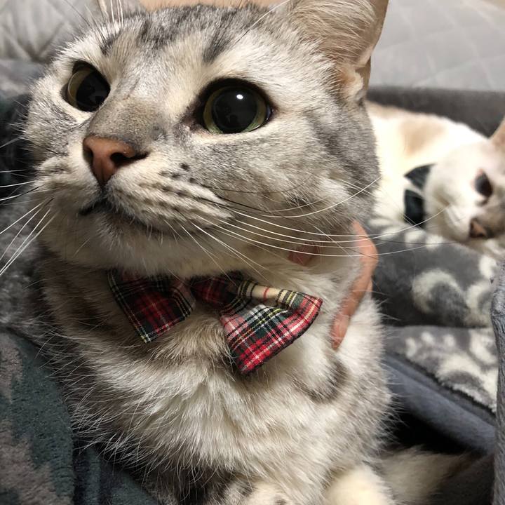 D025eb33 5920 441c 9234 00c5e46b811e 1584351755845