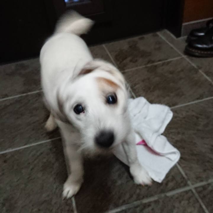 D025ef76 39c0 481a a9fb cd9641239a31 1559951752095