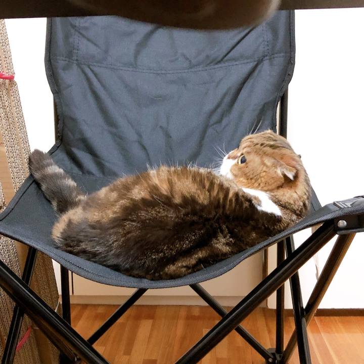 D02607c2 5baf 4e11 bc58 3c6cd52de8d6 1569251569862