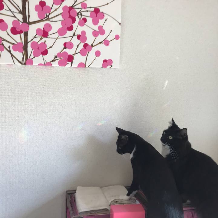 D026139d 4acb 463a a489 7d19cc8abaaf 1540638620427