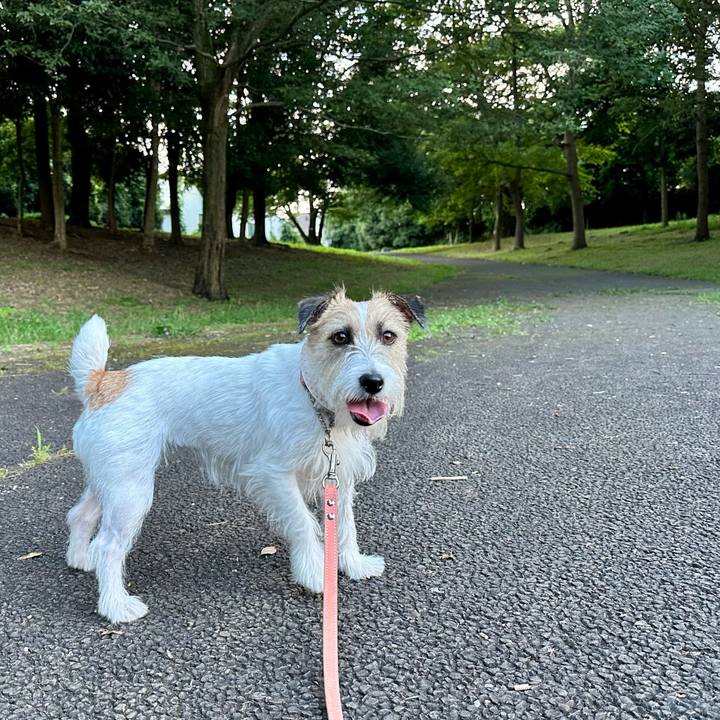 D02617b8 fdb1 427f 8503 3bec01f8258a 1688745549186