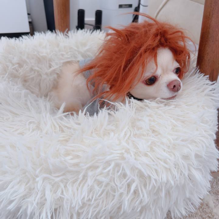 D0263c4c 57bb 483e 8d9b 46441f29c90e 1761987560806