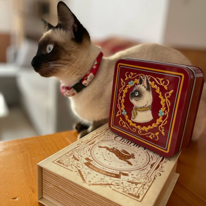 D0265ac0 e2d3 48df 80bf 31ebb5ed6002 1706338450850