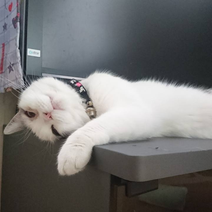 D0269919 c83b 468b b3f9 eb92d79b56a6 1559792352497