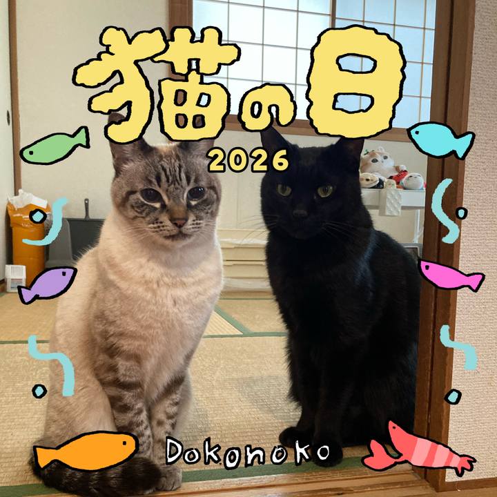 D0269ac4 b447 4005 932b 987f1251e15f 1771751422901