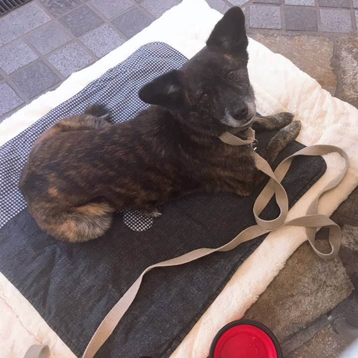 D026b447 ce24 4371 b3c8 57021b5d4a20 1558624130347