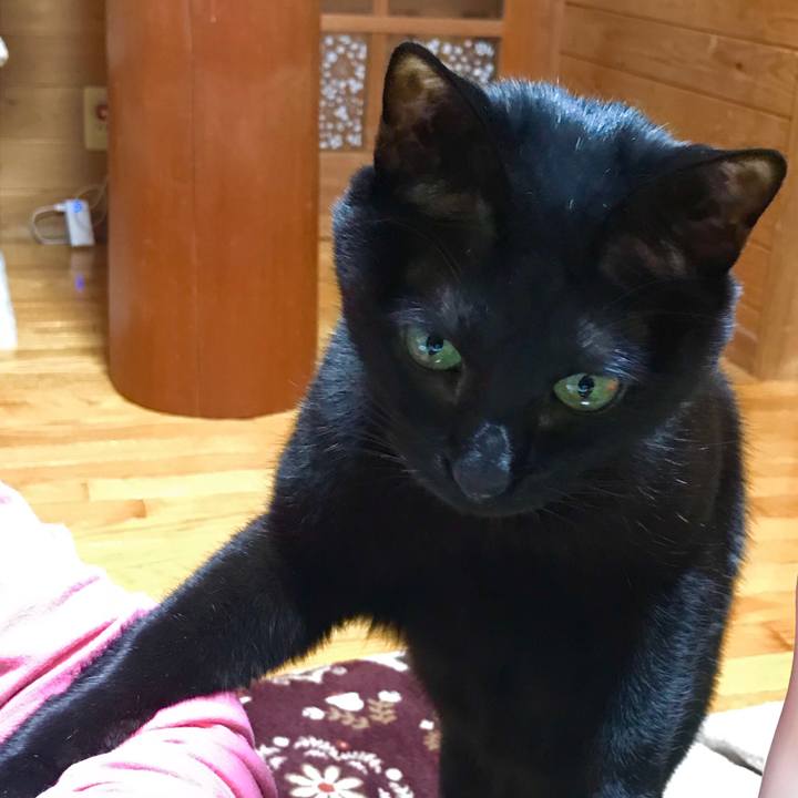 D026c97f 13f8 43a6 8903 deb4d4054155 1520160591373