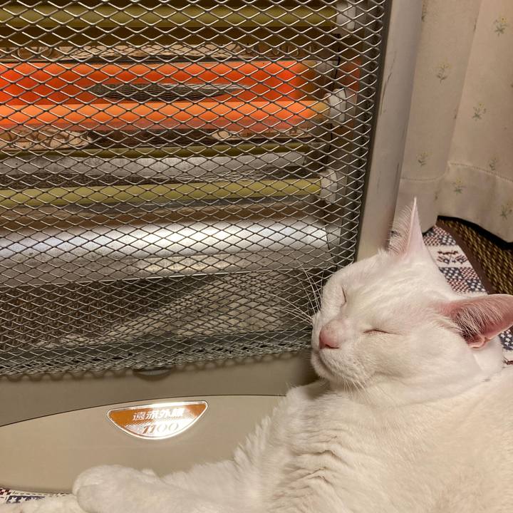 D026c981 08b6 4e12 90ce 6aa27095e917 1641213151499