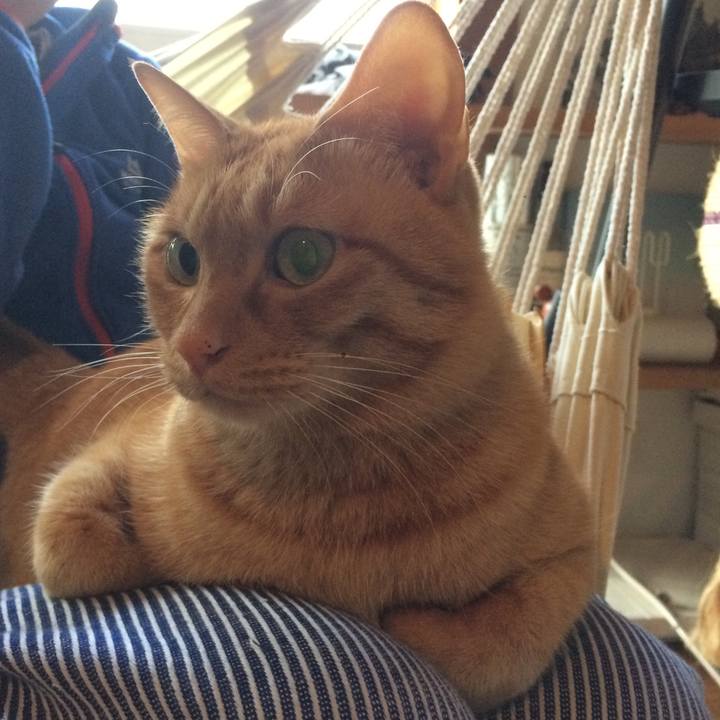 D026cad8 ba80 49a3 a5d9 1be2def98748 1547162160493