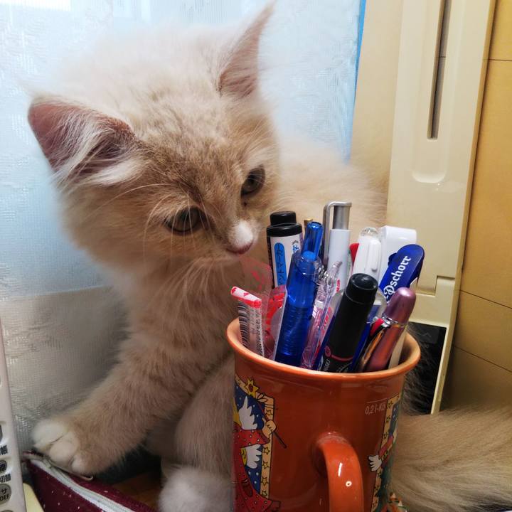 D026cc71 6667 4fdf b545 a9d5e7d5bf98 1596717210097