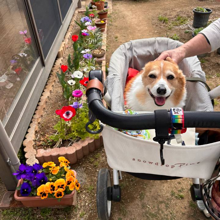 D026cd97 88d9 41a7 98d1 23c2a8507b98 1773881367339