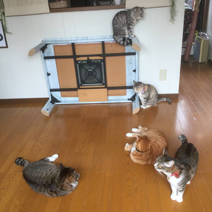 D02715be daba 4c1d a6e1 6b13626c4ef2 1556680326983