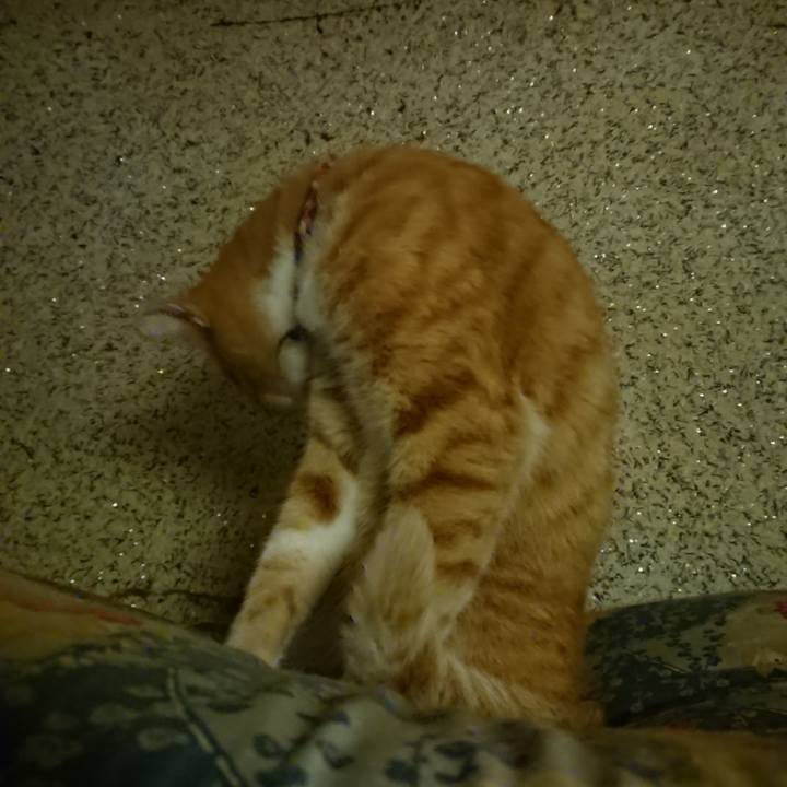 D027d2a4 68fe 4501 87f4 2e6843434de3 1603370548532