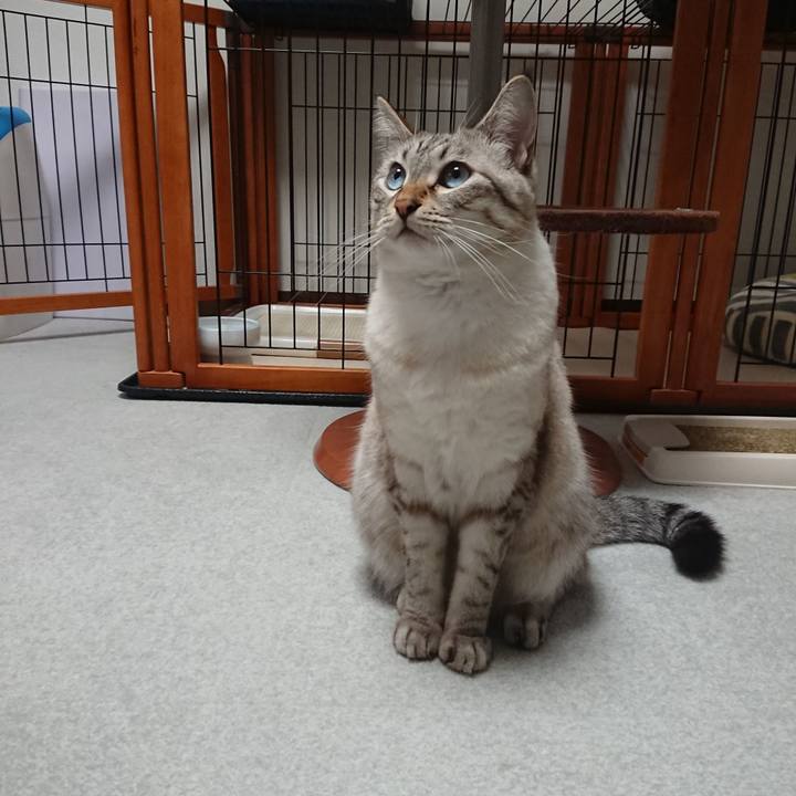 D027e991 eeb9 4a85 99e6 b51226dcaba6 1537954104064