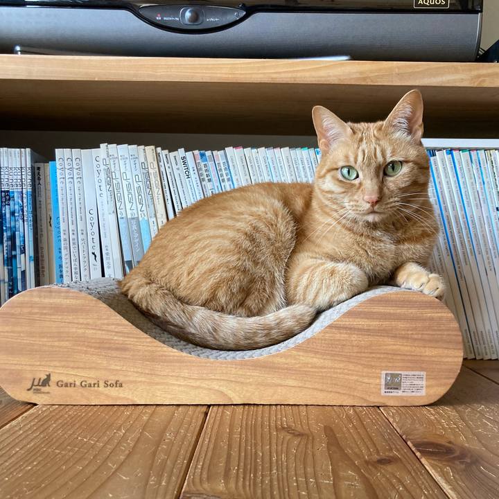 D0282078 3193 4872 95d3 1dda03f1bfc3 1619307959034