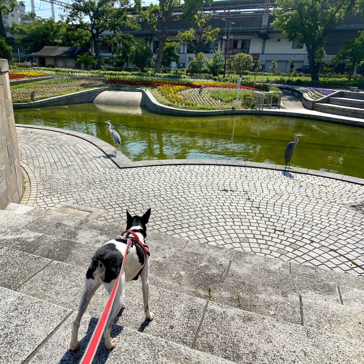 D0282501 7424 4aa0 a2d1 802340e8d765 1590805669595