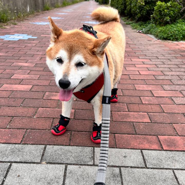 D0282872 4b61 43b7 93fe 13861007f9b7 1729646757611