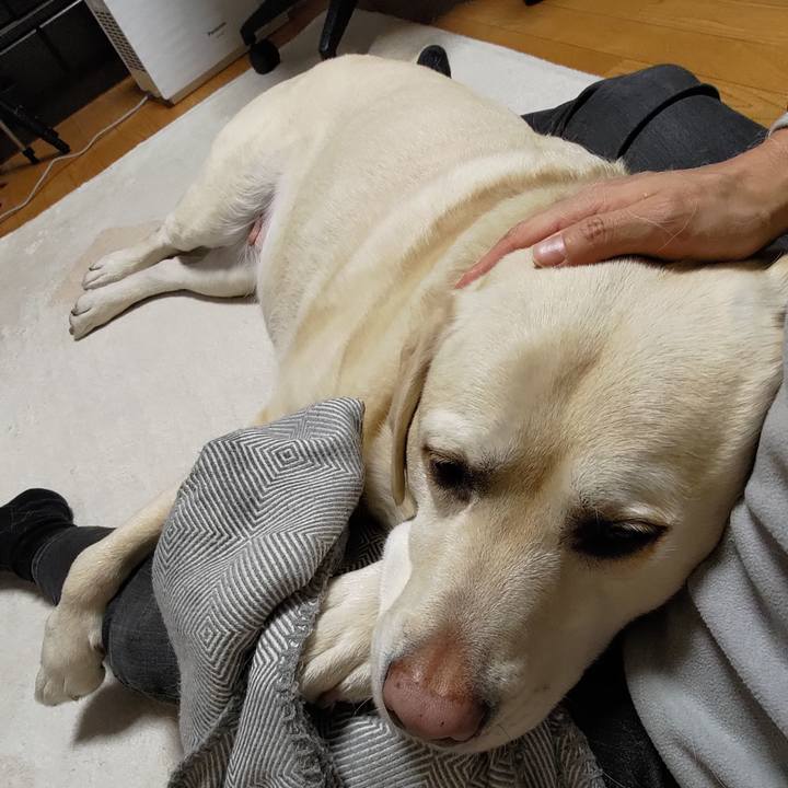 D028551a 300f 4a81 bbc5 56ac2998af61 1703261750829