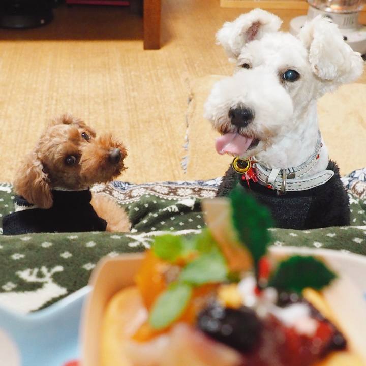 D02868a5 386d 4835 a042 68b36095c65c 1577191830318